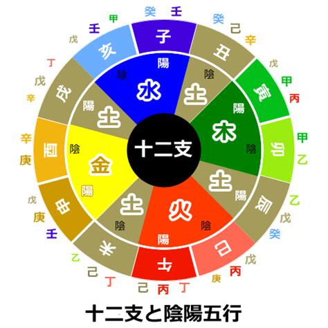 地支五行陰陽|陰陽五行